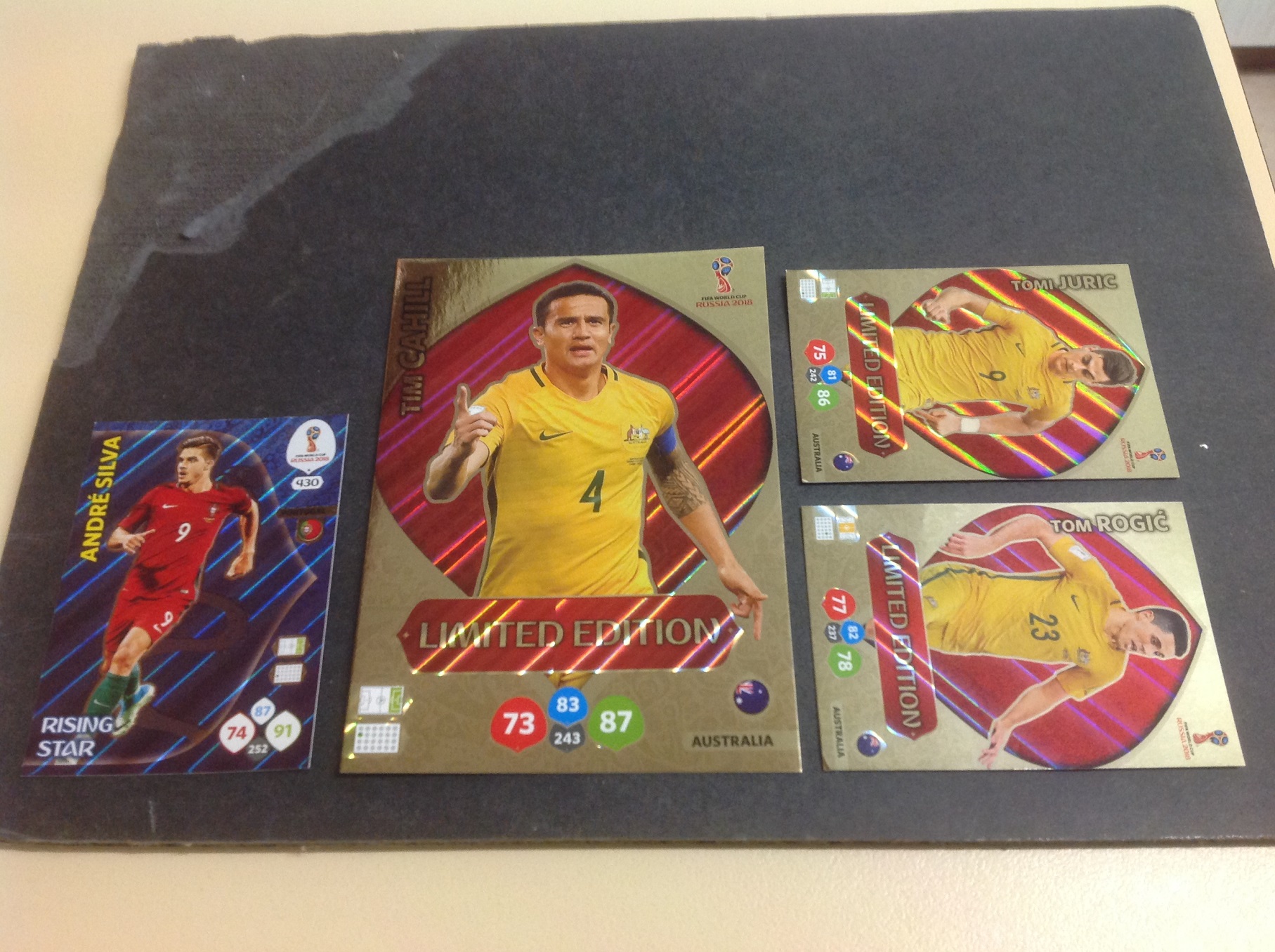 PANIN ADRENALYN FIFA CARDS